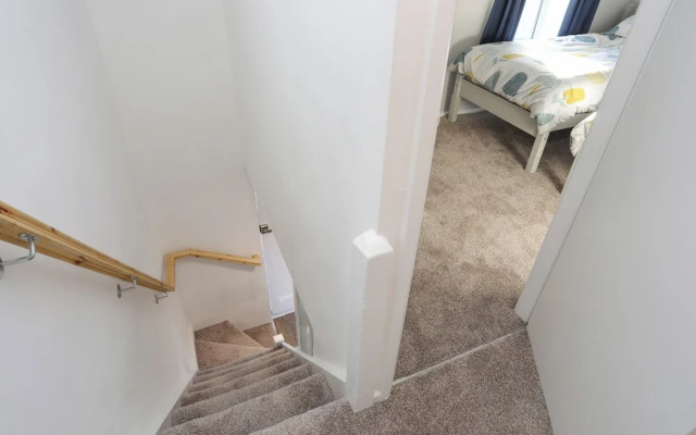 Oscar's Pad