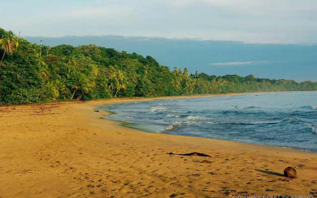 Almonds and Corals Boutique Hotel