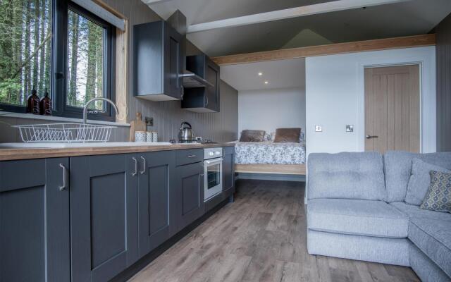 Cabin In The Woods - 1 Bed - Kilgetty