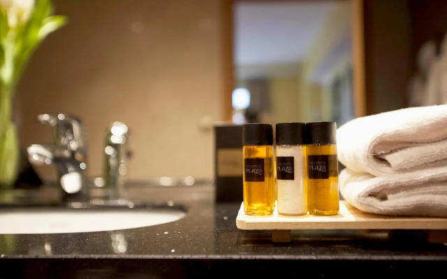 Ski Plaza Hotel & Wellness