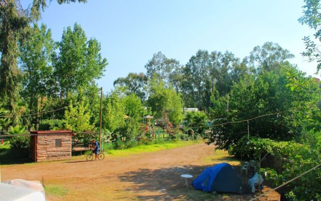 Medusa Bar & Camping - Hostel