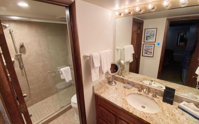 #205 Vail International