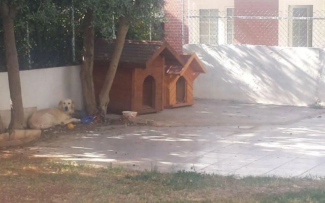 Pinus Otel