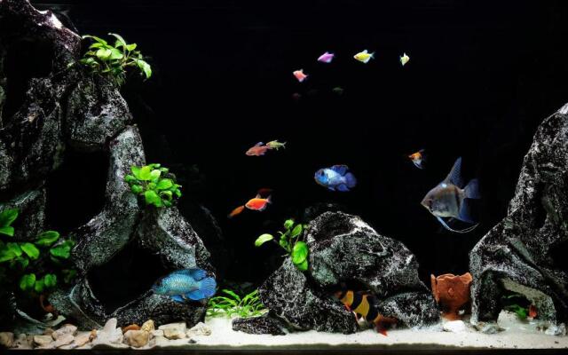 Big Blue Apartment - Belgrade