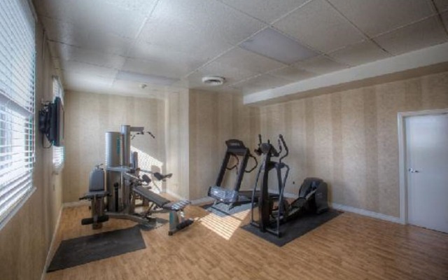 Comfort Inn Toronto Airport