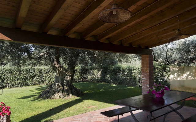 House Surrounded by Olive Trees