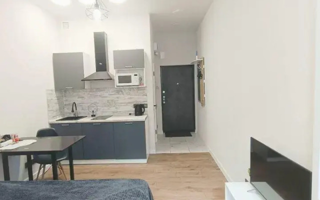 Апартаменты на проспекте Конструктора М.Т. Калашникова 21