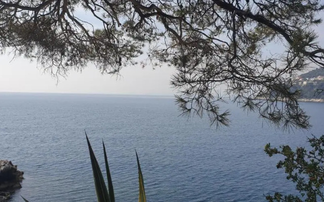 Studio climatisé à proximité des plages et des commerces