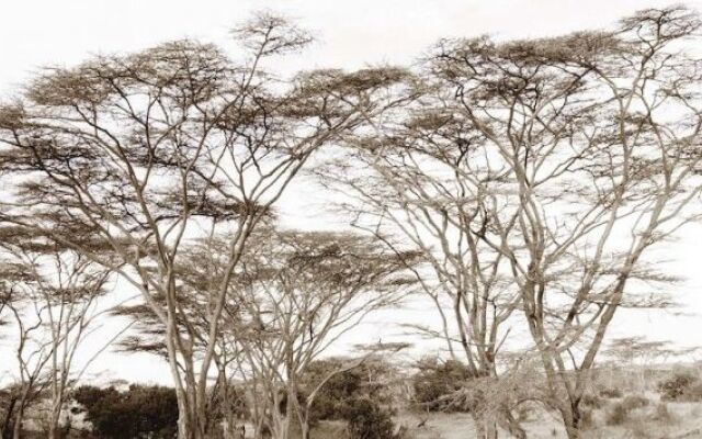 Naboisho Camp
