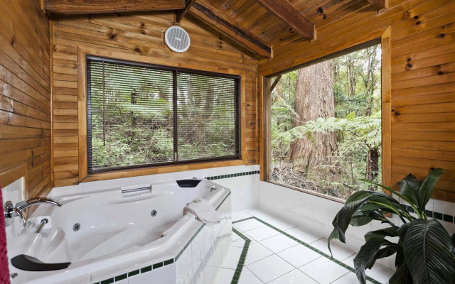 The Mouses House Rainforest Retreat
