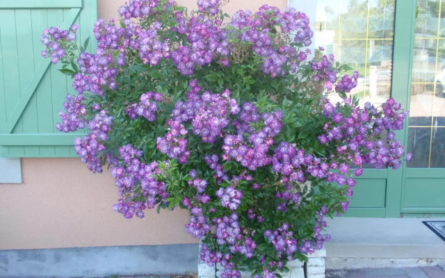 Hébergements Insolites en cabanes