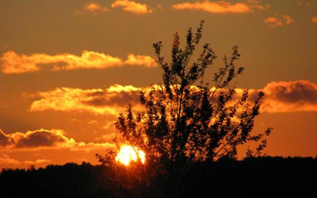 Ferienhaus-Heisser-Sand-Whg-6