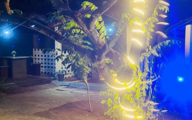 New Peacock Resort