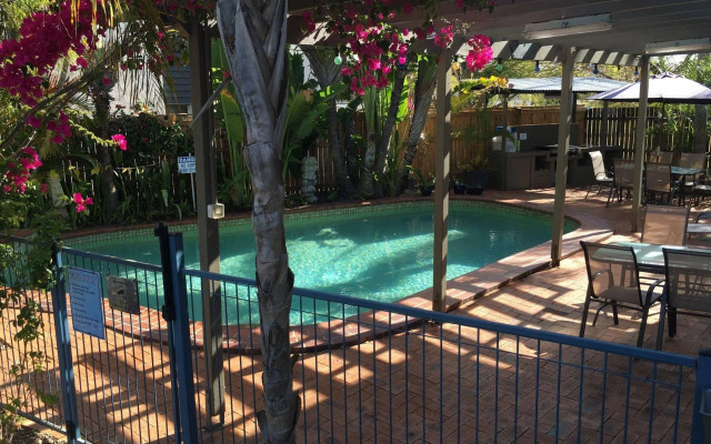 Coconut Palms on the Bay