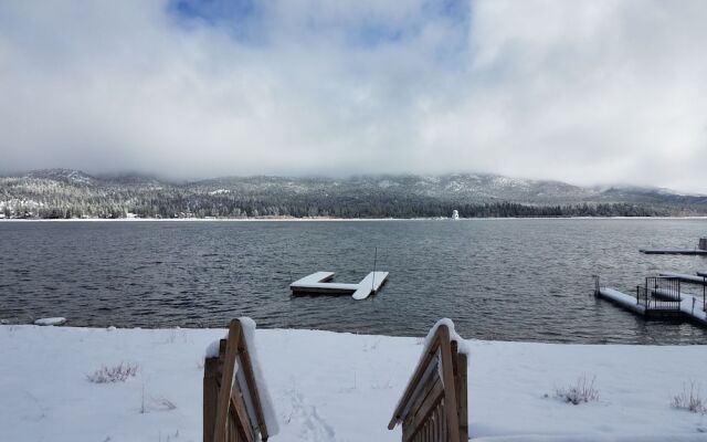 Ivy Bear Lakefront