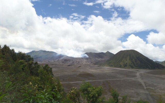 Fredelia Homestay