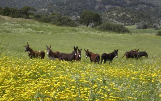 Karpaz Farm Guest House