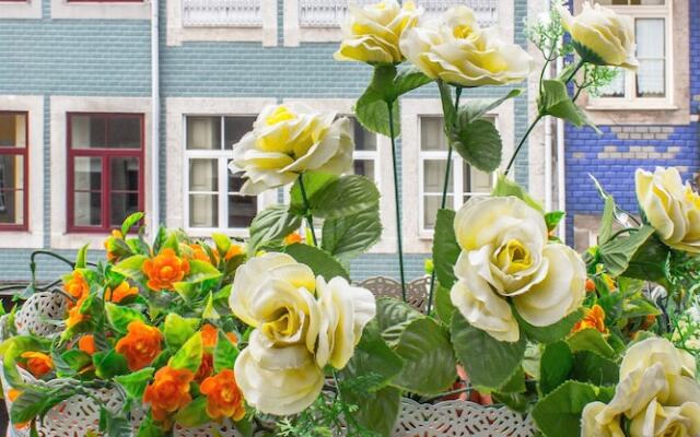 Santa Catarina Modern Flat