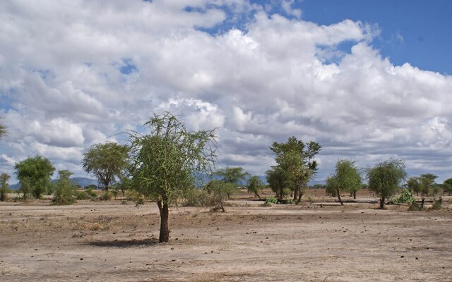 Whistling Thorn Tented Camp