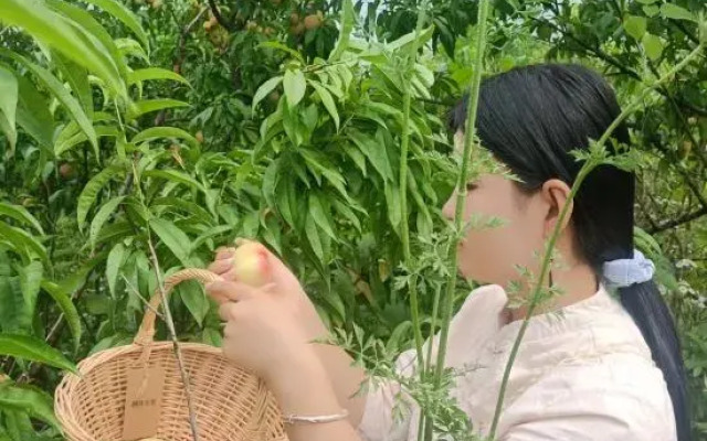 Goyao Nanshan Slow Residence Hotel