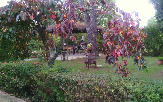 Artisti del Cavallo Tourism