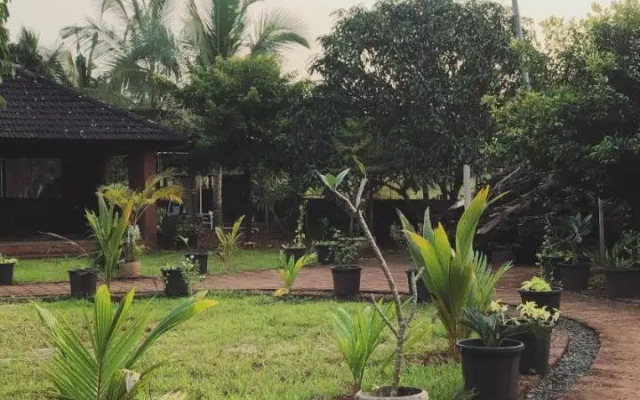 Surve Farms