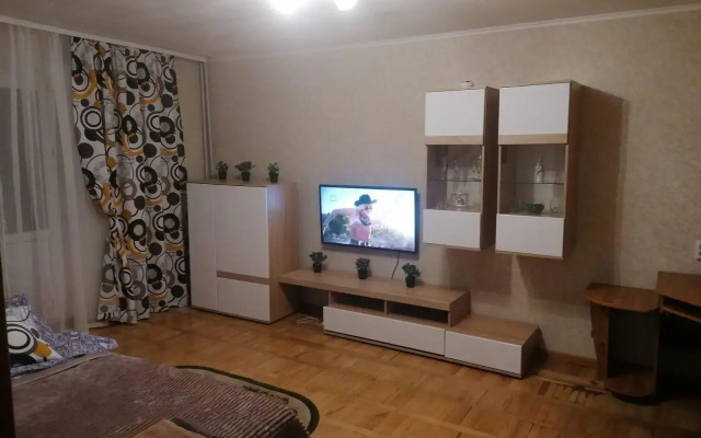 Apartments on Chekhov street 2B