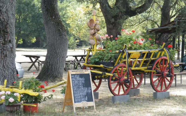 Vizimalom Panzió és Kemping
