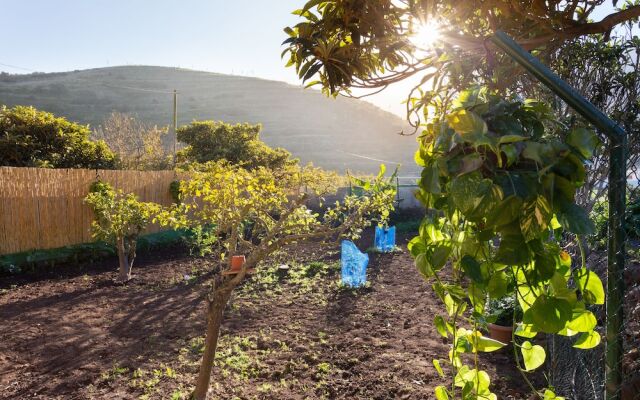 Homelike Rustic House Orchard And Wifi