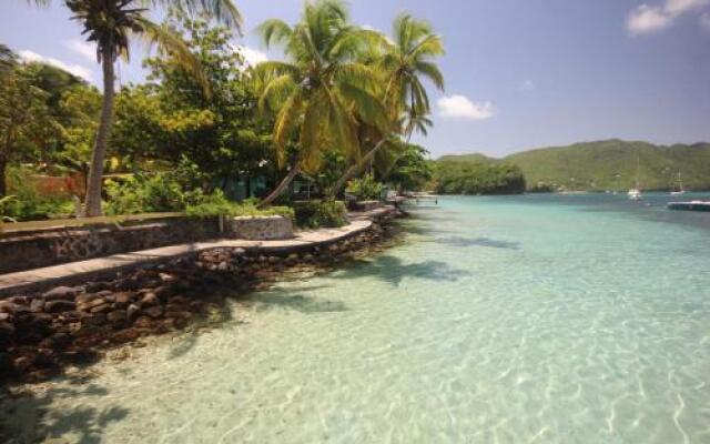 Tropical Hideaway