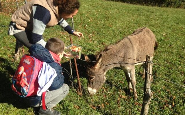 Hotel Villa Patrizia
