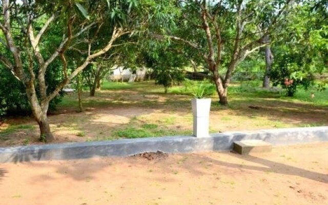 Wilpattu Lake View Bungalow