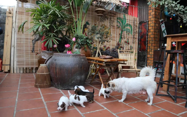 Redhouse Backpacker Hostel