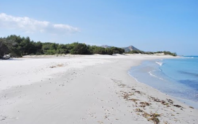 Paradiso degli Ulivi
