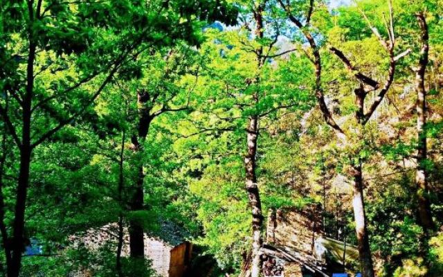 Xinchang Shangshitang Tianmu Mountain Residence