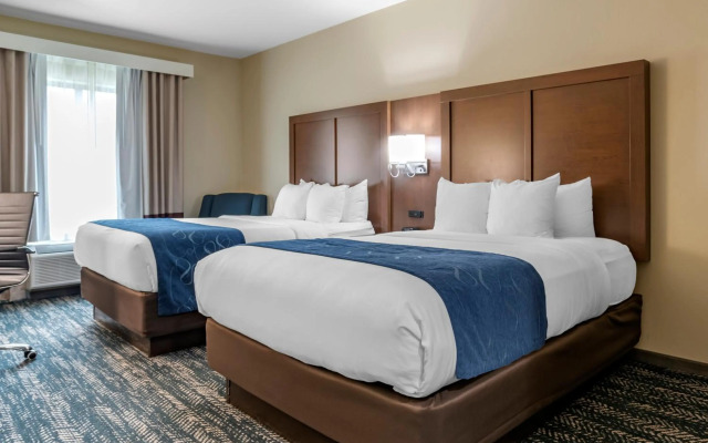 Comfort Inn & Suites Downtown near University