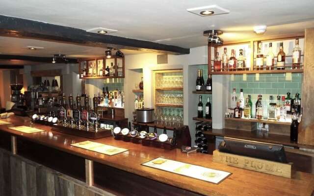 The Plume of Feathers