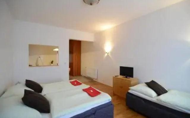 Golden Karlín Apartment
