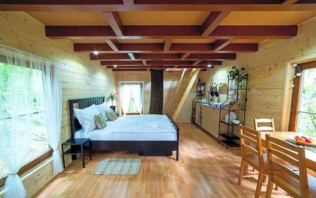 Treehouse Zlatá Koruna