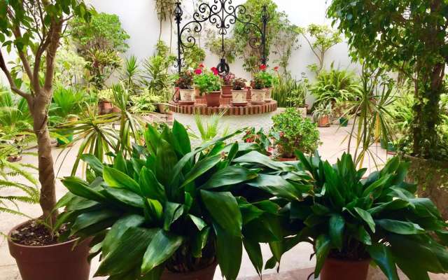 SolRoom Plz La Nogalera - Adults Only
