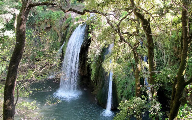 Holiday Home Le Clos des Oliviers - CAE140