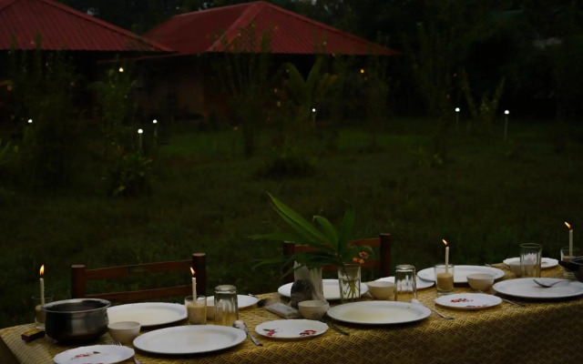 Tadoba Safari Stay Nature's Sprout