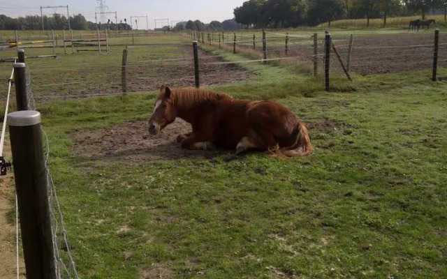 Welkom op de Mildert