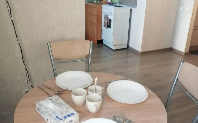 Apartments on Kirova street 206A