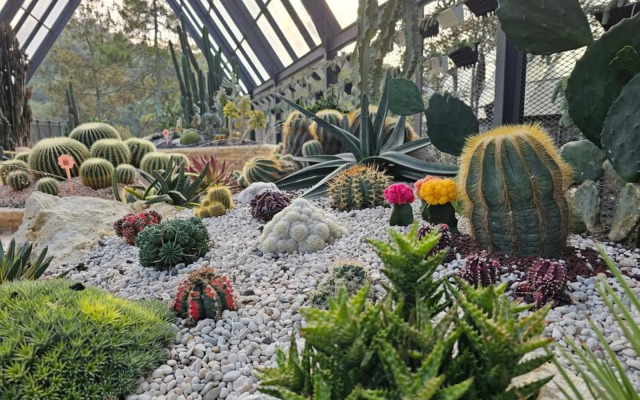 The Gaia Hotel Bandung