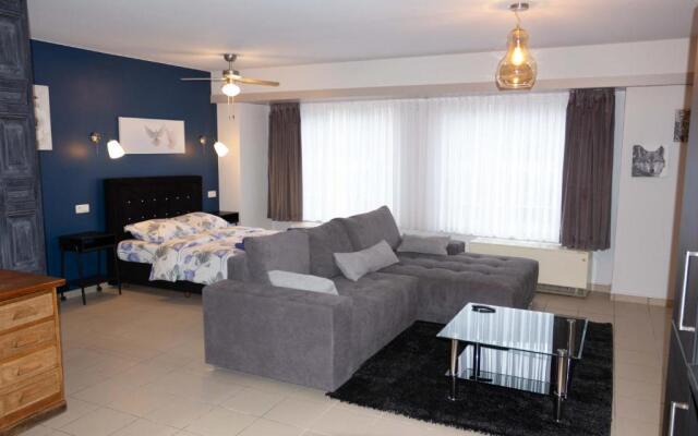 Renovated Apartment in Antwerp
