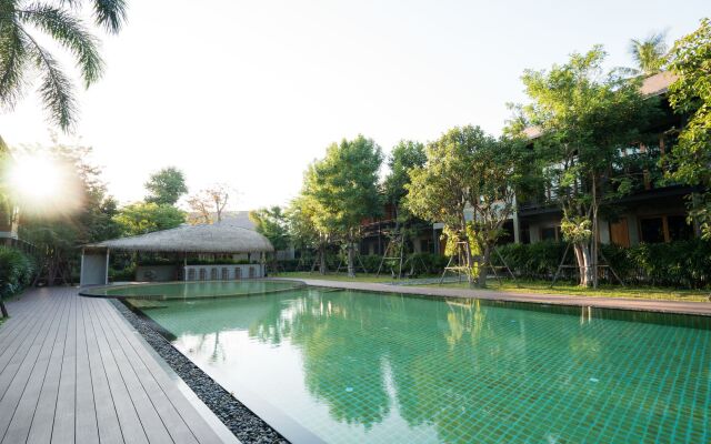 The Buffalo Amphawa (SHA Plus)