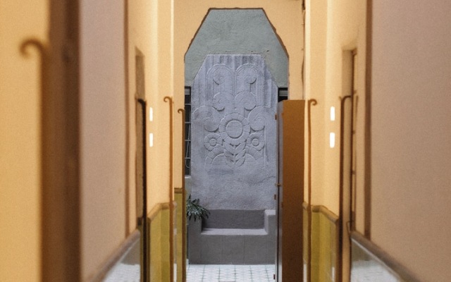 Mr. W Kin Pech 10 - Infallible PH