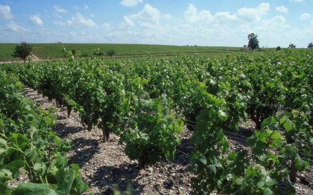 Ibis Saint Emilion