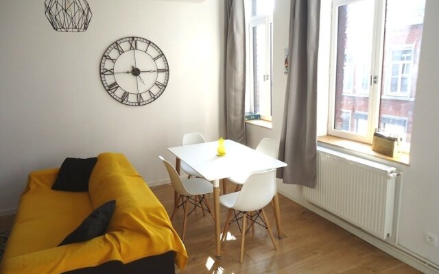 Appartement Lille/1ch/stationnement gratuit